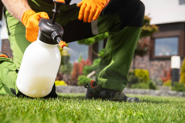 Best Exterminator Services  in Waukee, IA