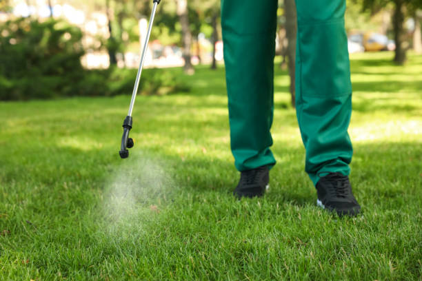 Best Termite Control Services  in Waukee, IA