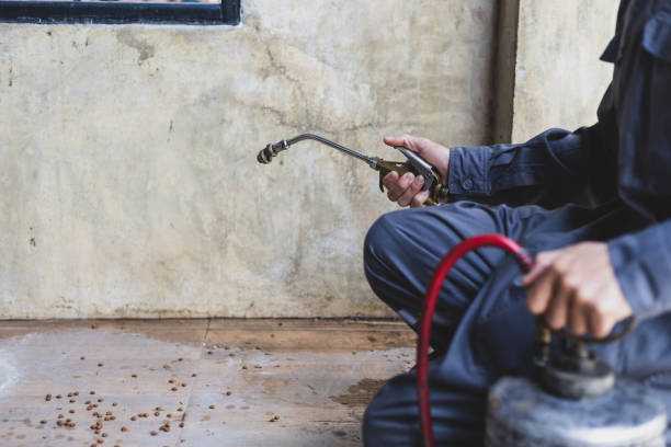  Waukee, IA Pest Control Pros