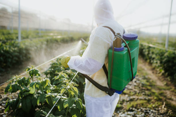 Best Pest Control Treatment  in Waukee, IA